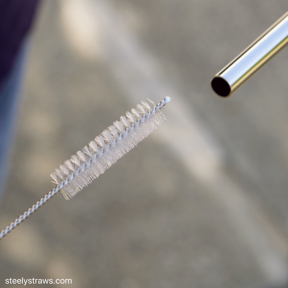 6 Stainless Steel Straws + Cleaning Brush