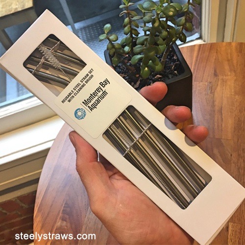 Reusable Straws with Cleaning Brush (5 pc set)