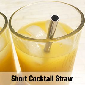 Short Cocktail Straw