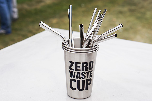 Stainless Steel Drinking Straws - Gold – Zero Waste Cartel